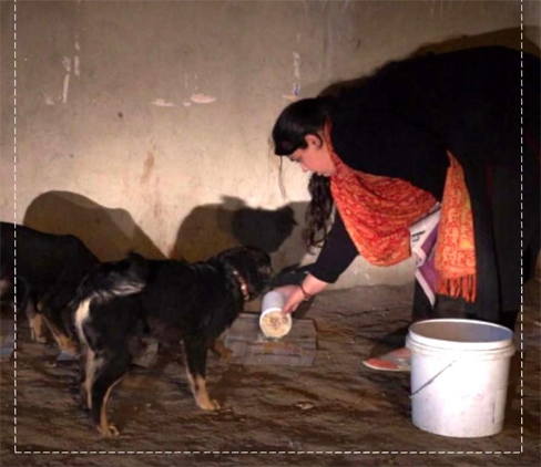 Mission and Feeding